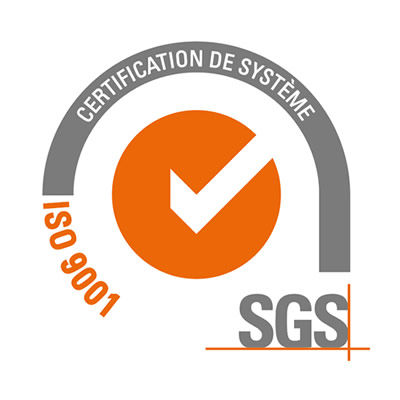 logo of cgs iso 9001